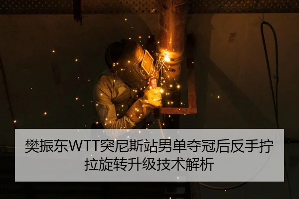 fan-zhen-dong-tu-ni-si-zhan-nan-dan-duo-guan-hou-fan-shou-ning-la-xuan-zhuan-sheng-ji-ji-shu-jie-xi-2-271.jpg